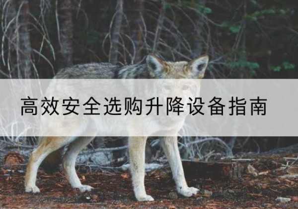 九寨沟升降货梯厂家推荐-*安全选购升降设备指南