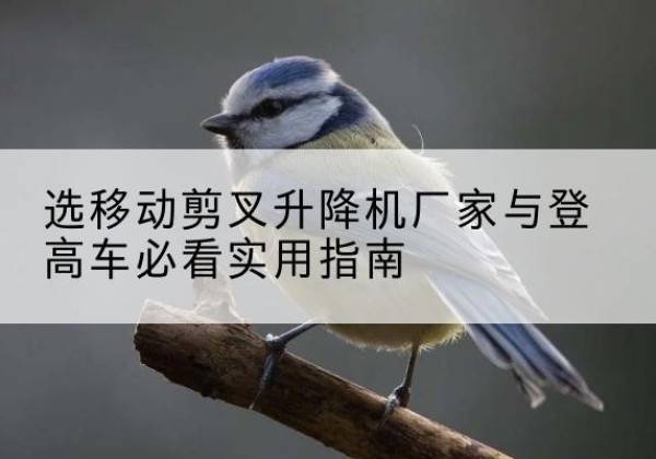 九寨沟电动升降机厂家-选移动剪叉升降机厂家与登高车必看实用指南