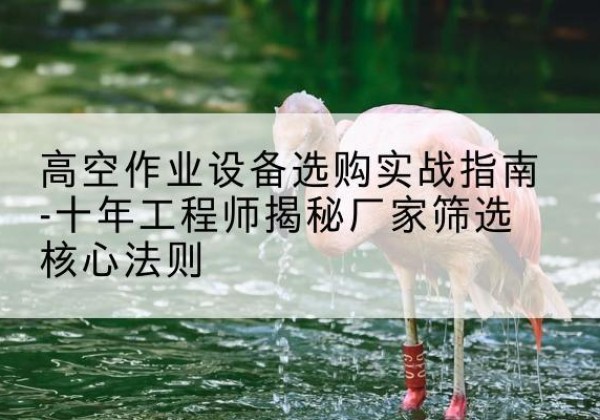 九寨沟剪叉式升降机厂家-高空作业设备选购实战指南-十年工程师揭秘厂家筛选核心法则